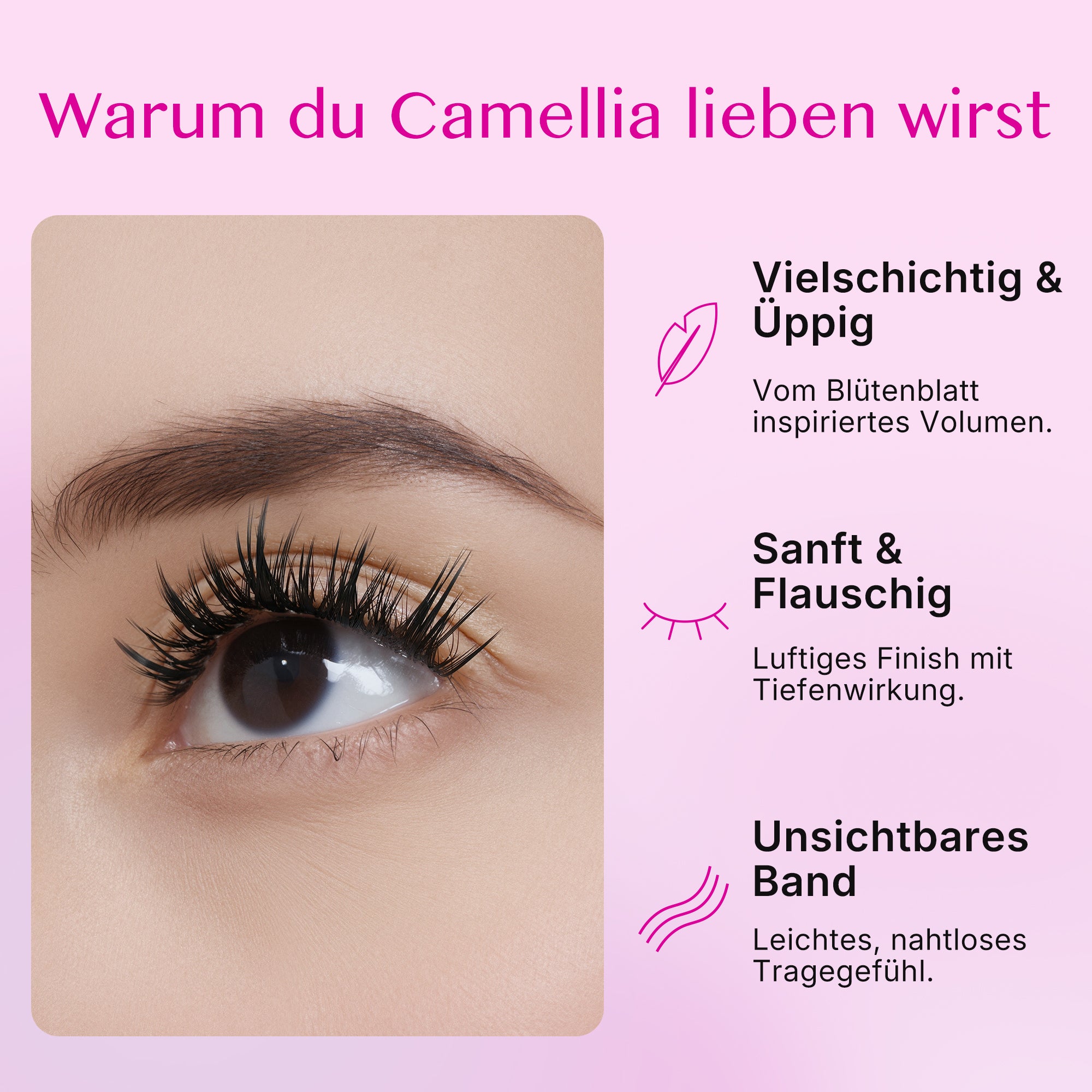Camellia